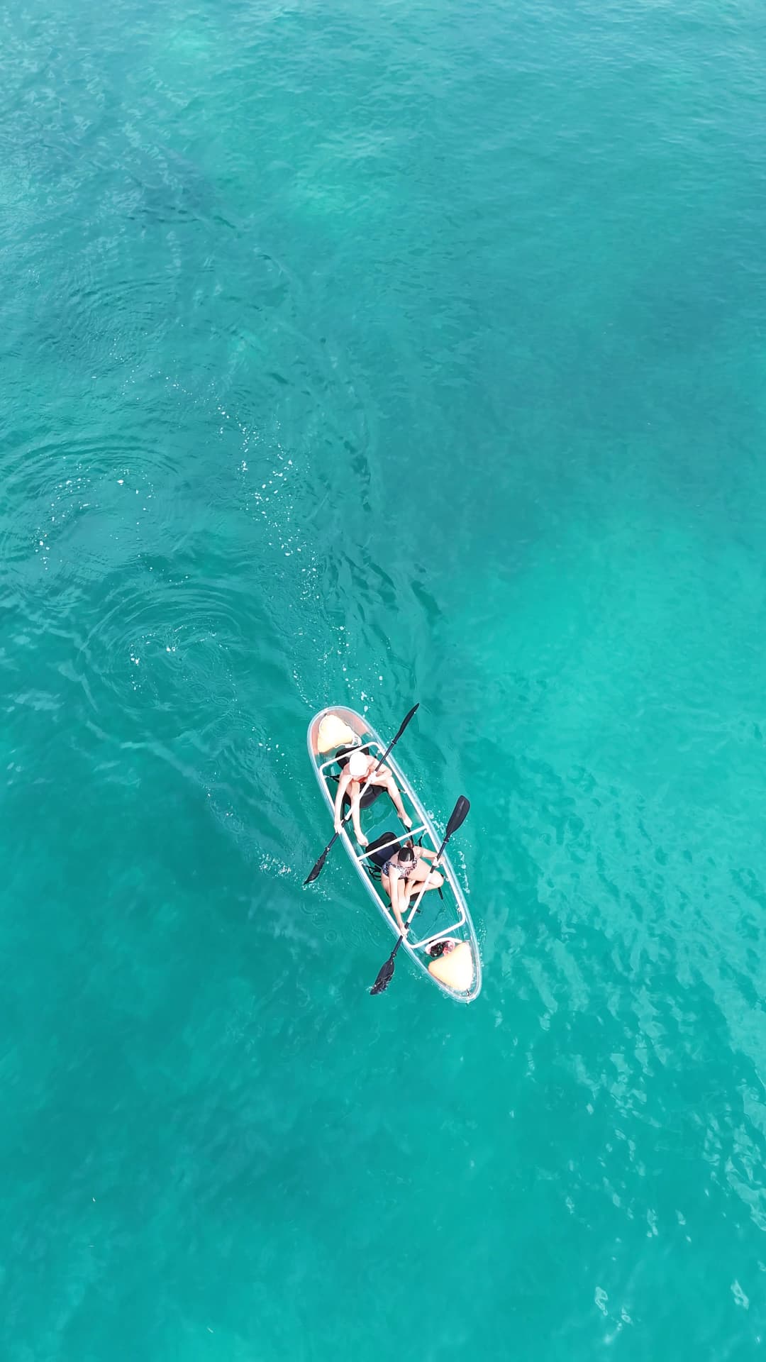 Guests kayaking through clear turquoise water during a San Blas charter